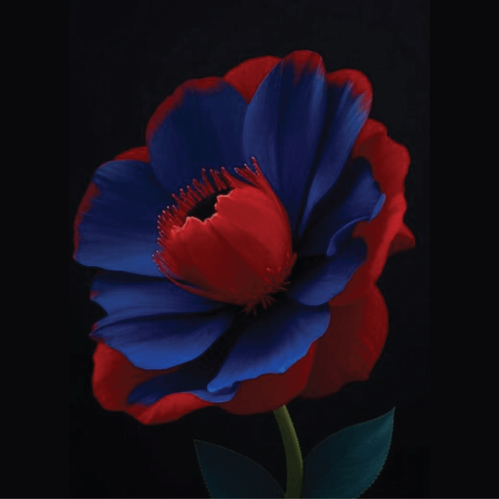 Coussin Décoratif Fleur Élégante Rouge et Bleue