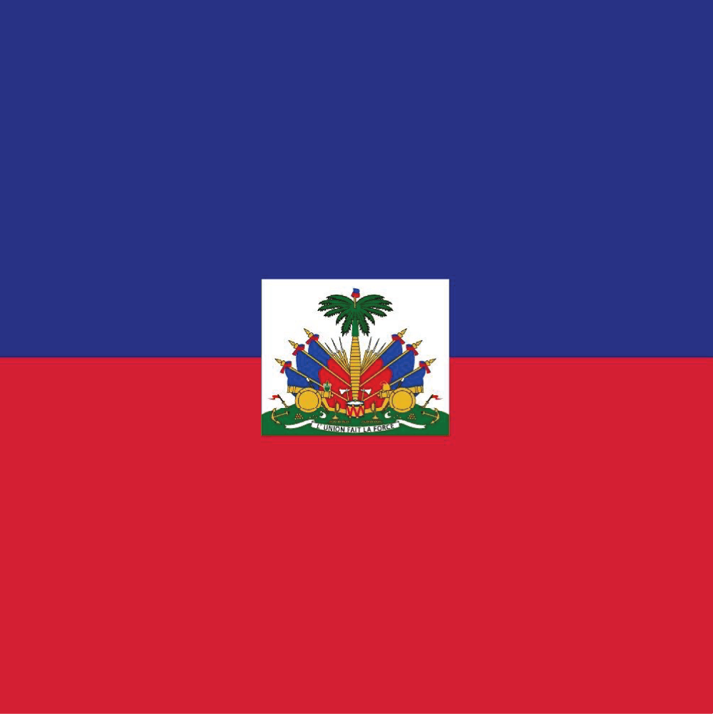 Coussin Décoratif - Drapeau Haïtien